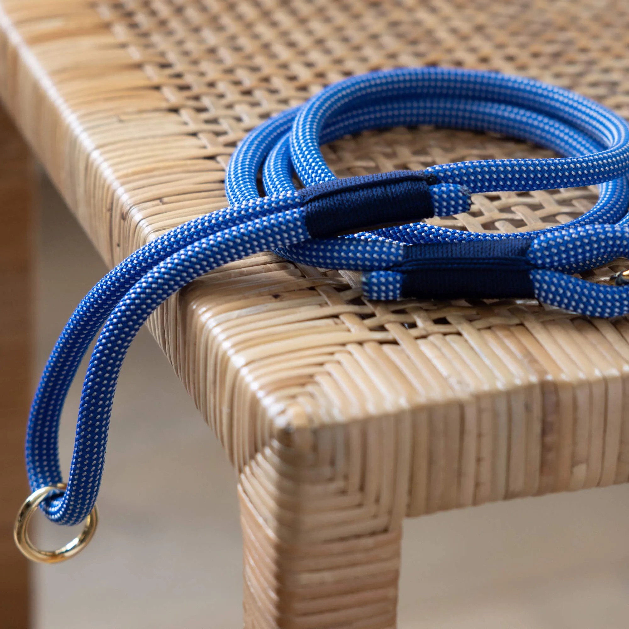 Lagoon Climbing Rope Dog Leash